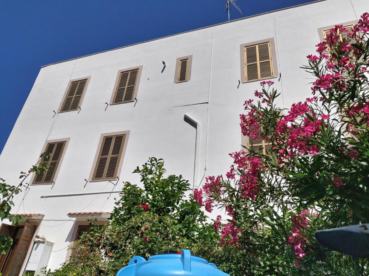 Whole Holiday Home Apartment Splendid Civitavecchia Da Pamino & Priscilla 외부 사진