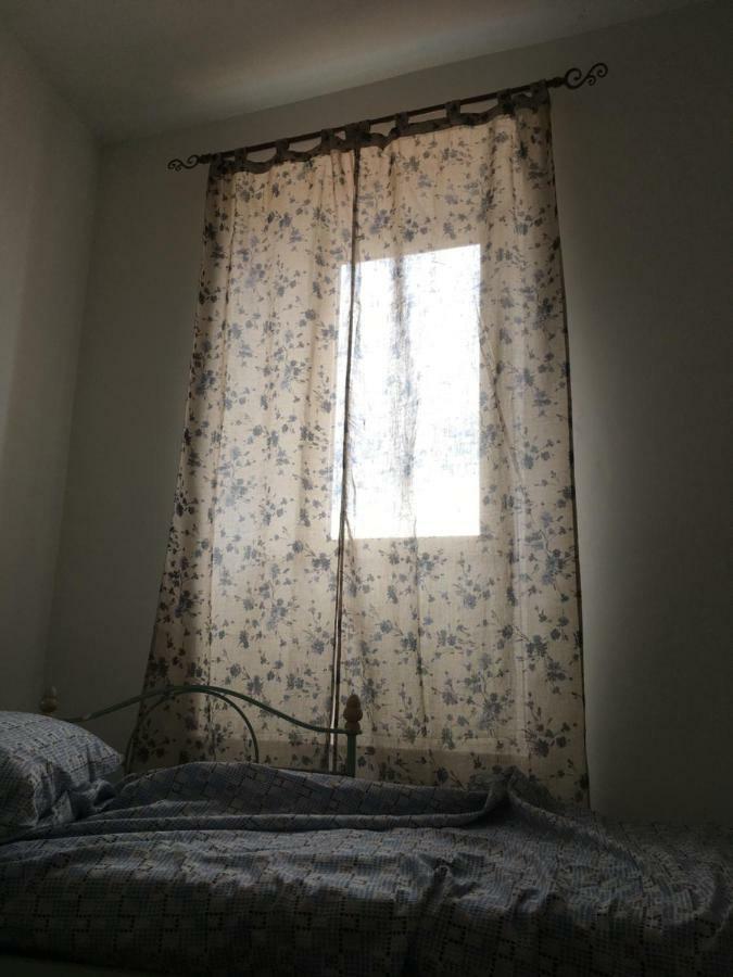 Whole Holiday Home Apartment Splendid Civitavecchia Da Pamino & Priscilla 외부 사진